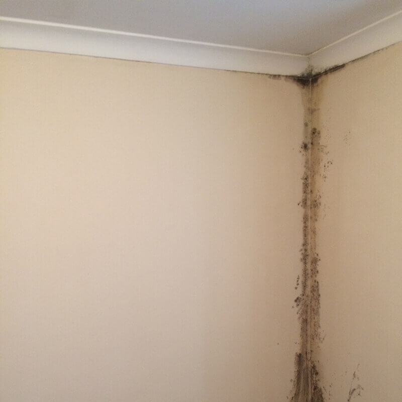 Condensation Specialists Swindon, Wiltshire