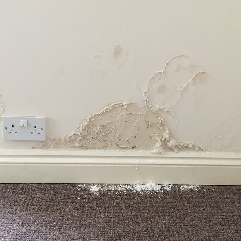 rising damp Surveys Swindon, Wiltshire