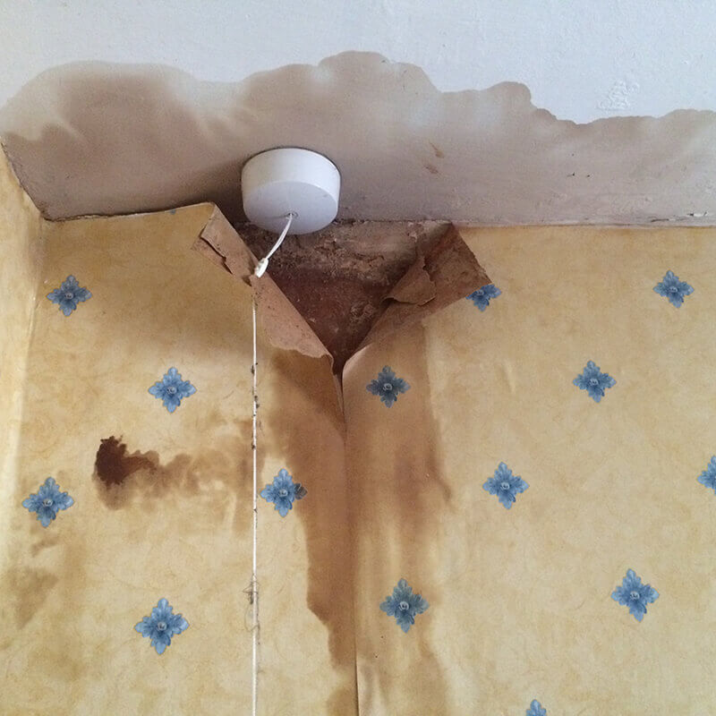 Specialist damp Surveys Swindon, Wiltshire