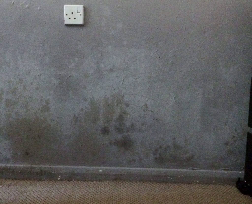 property restoration Swindon