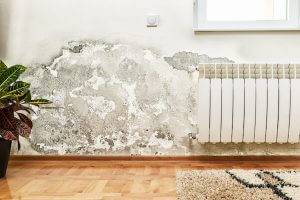 Damp proofing in Bath
