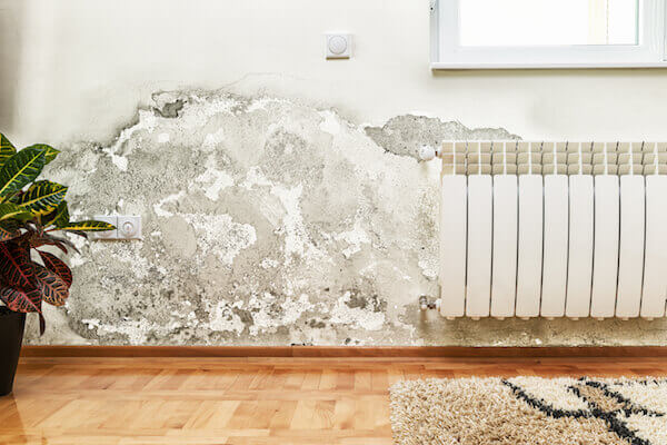 Damp proofing in Bath