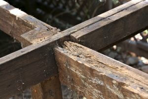 Dry rot treatment
