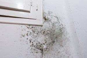 Rising damp treatment Bristol