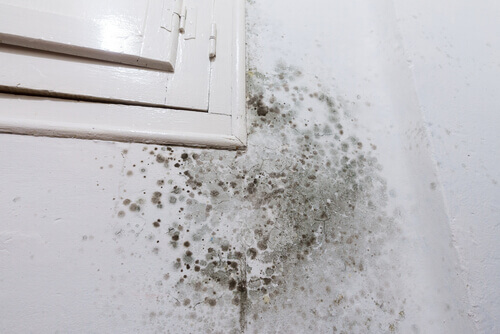 Rising damp treatment Bristol