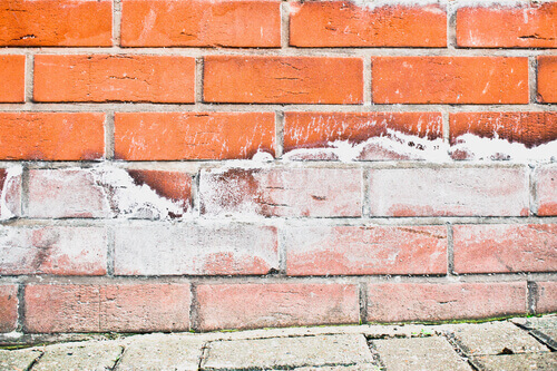 Damp proofing walls Bristol