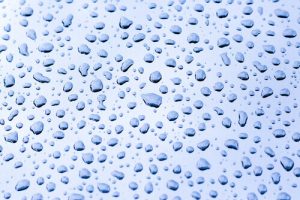 Damp specialist Bristol