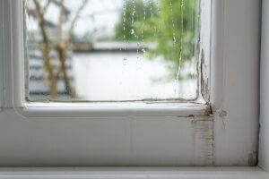 Damp treatment Bristol