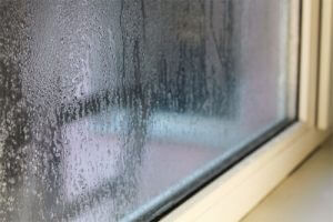 Condensation damp