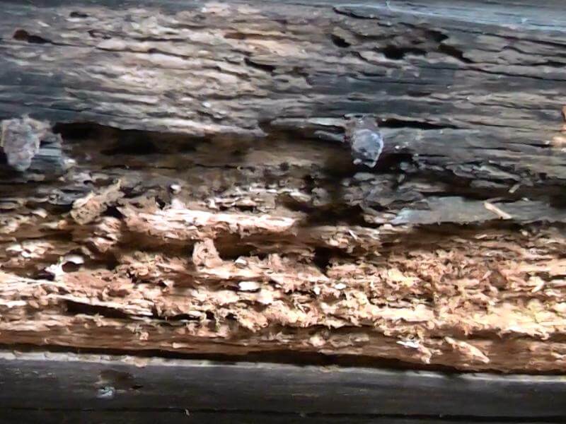 Crumbling wood