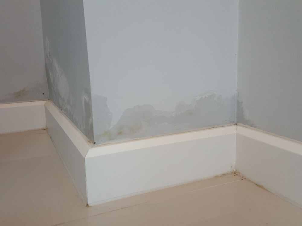 Rising damp on wall