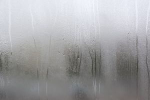 Condensation on window