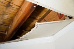 Structural damp damage in ceiling