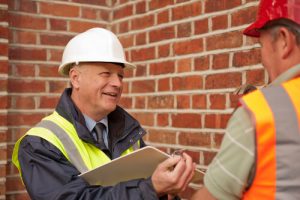 Woodworm survey operative