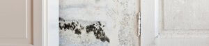 An image showing a wall with damp and mould